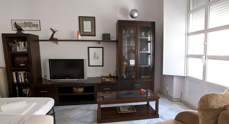 Apartamentos Situaci�n Excepcional Plza Ayuntamiento