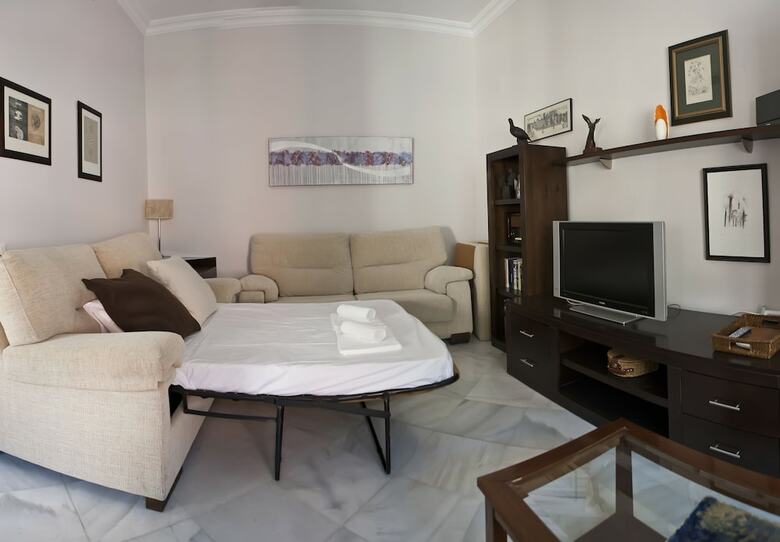 Apartamentos Situaci�n Excepcional Plza Ayuntamiento