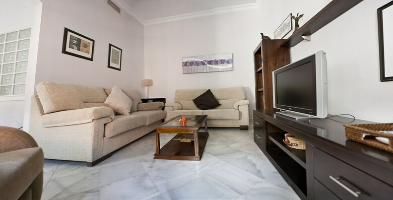 Apartamentos Situaci�n Excepcional Plza Ayuntamiento