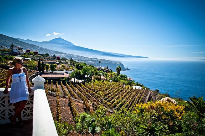Apartamentos El Refugio Appartments & Villa