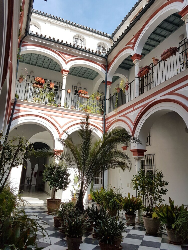 Deluxe Apartment San Isidoro