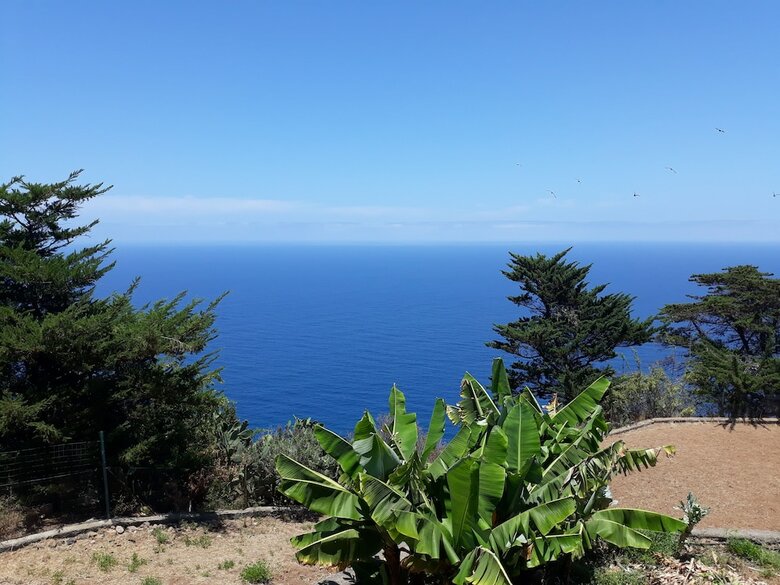 Finca El Bicl�n