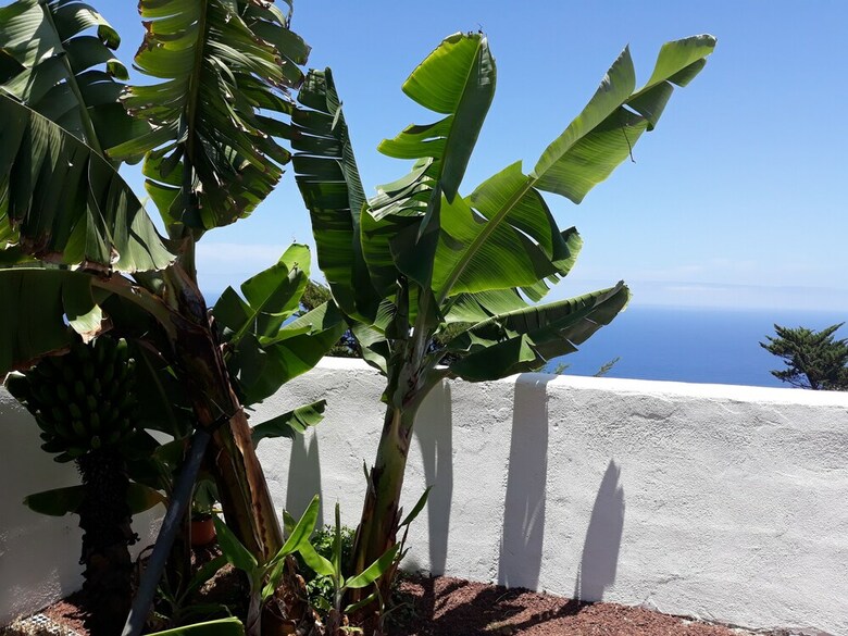 Finca El Bicl�n