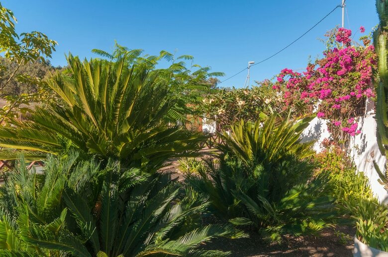 Casa Rural Con Piscina Privada En Firgas