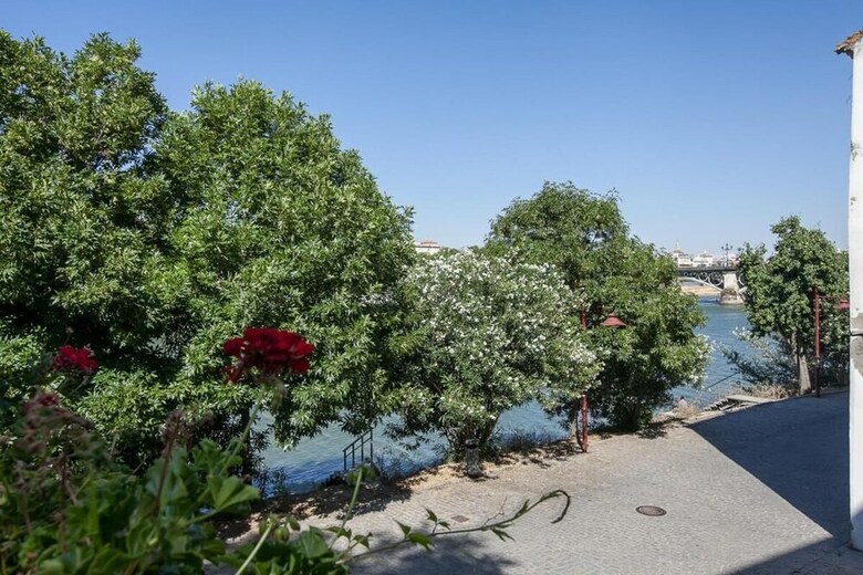 Apartamentos Bonito Piso Junto Al Rio
