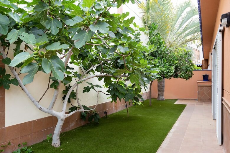 Gorgeous Luxury Villa Playa De La Arena