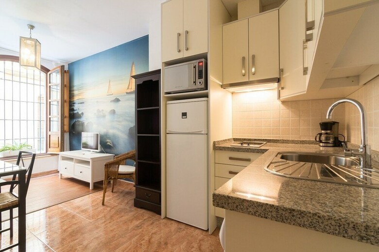 Apartamentos La Merced De Homely M�laga