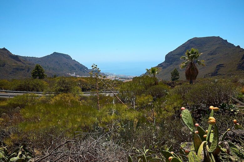 Villa Luxury Las Vi�as 1