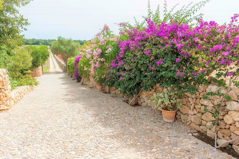 Villa Sa Mata Grossa