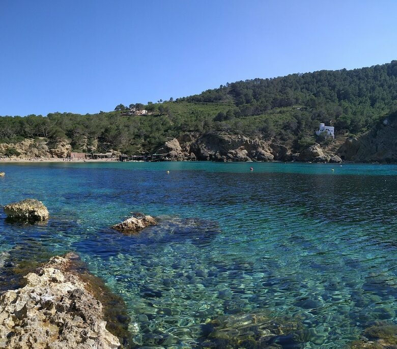 Agroturismo Sa Vinya D'en Palerm