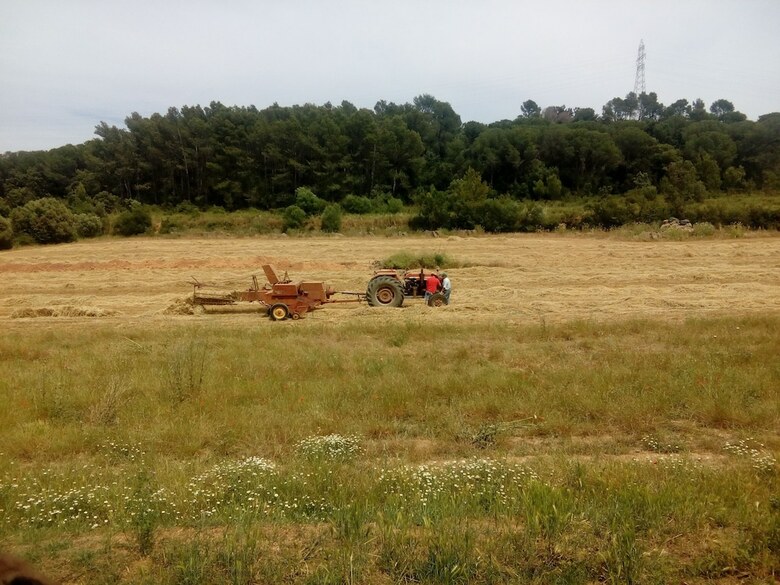 Can Barnosell - Els Masos D'en Coll