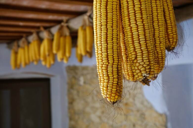 Can Barnosell - Els Masos D'en Coll