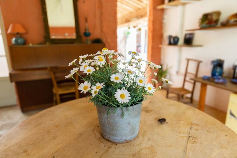 Bed & Breakfast G�tes Et Chambres Poterie de Pierroux