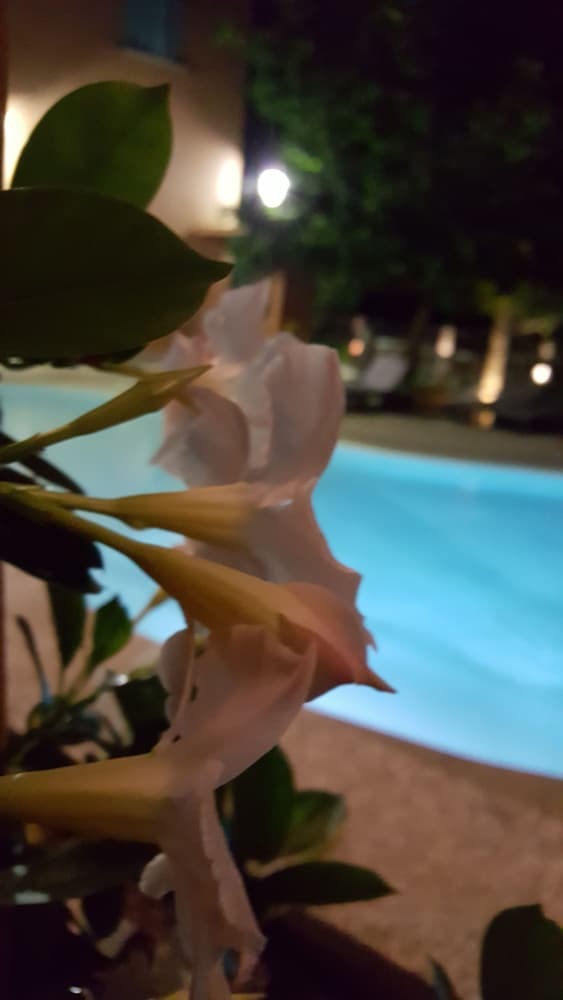 Hotel Les Jardins De La Glaciere