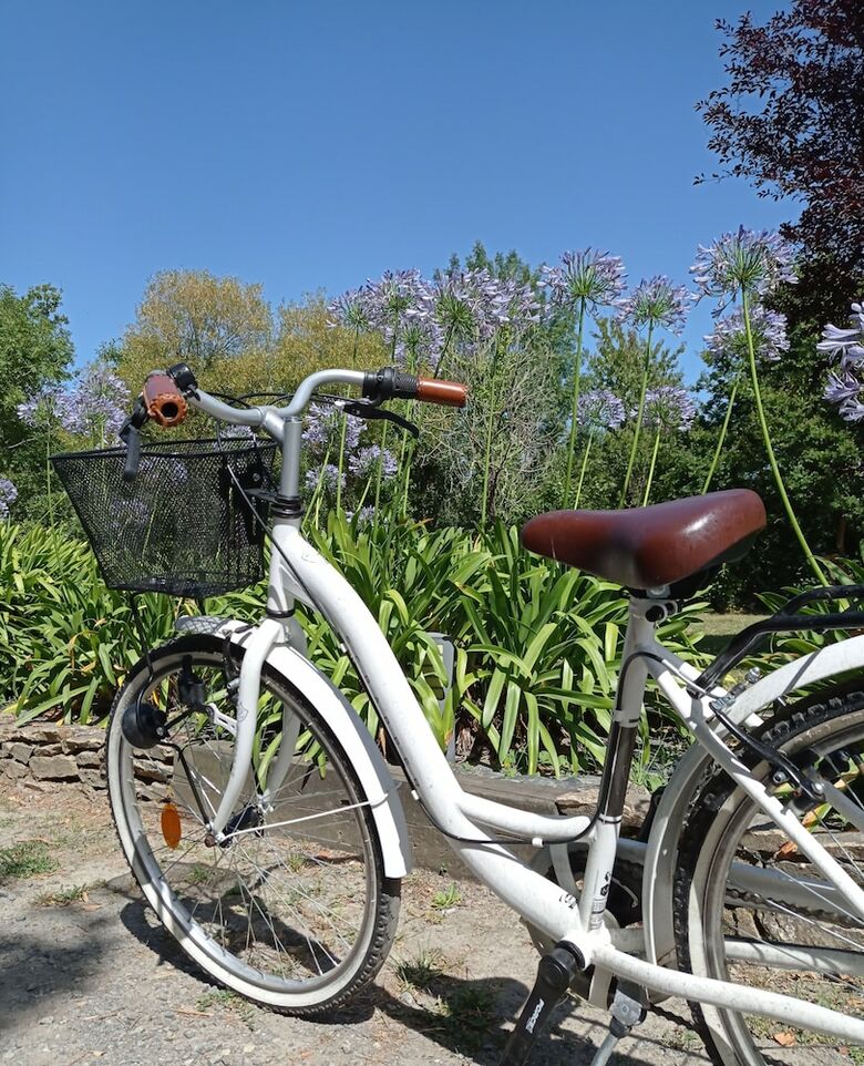 Camping L'abri-cotier