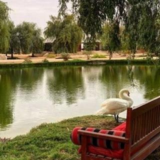 Hotel Telal Resort