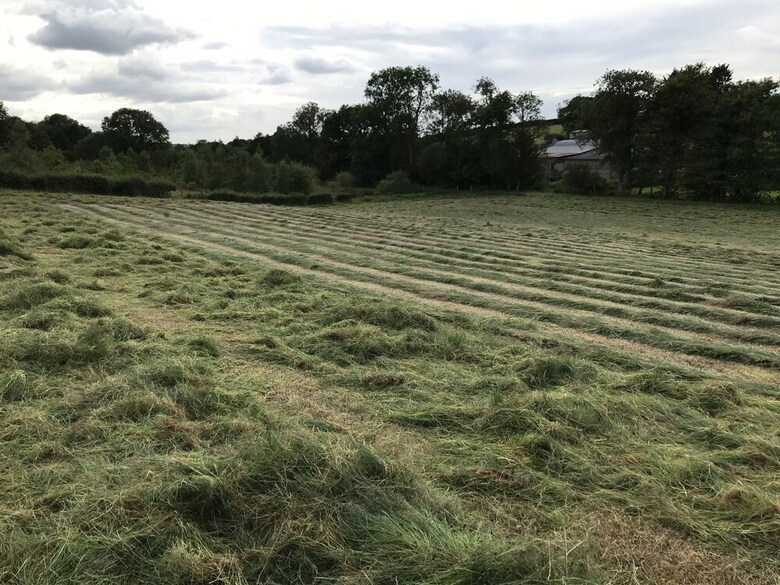 Beautiful 1-bed Barn Shippon, Stunning Views!