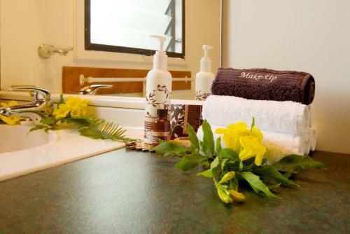 Apartamentos The Cooks Oasis - Holiday Villas