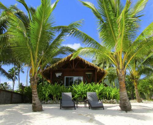 Hotel Magic Reef Bungalows