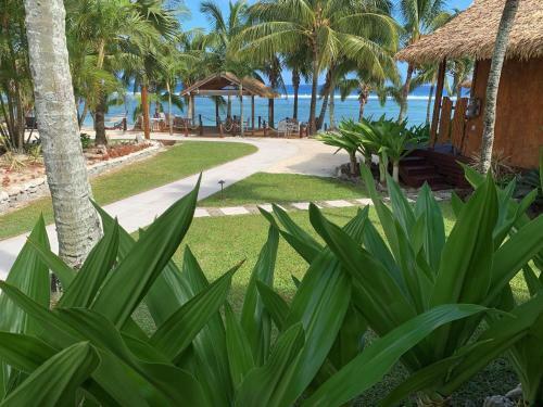 Hotel Magic Reef Bungalows