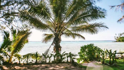 Hotel Muri Beach Resort