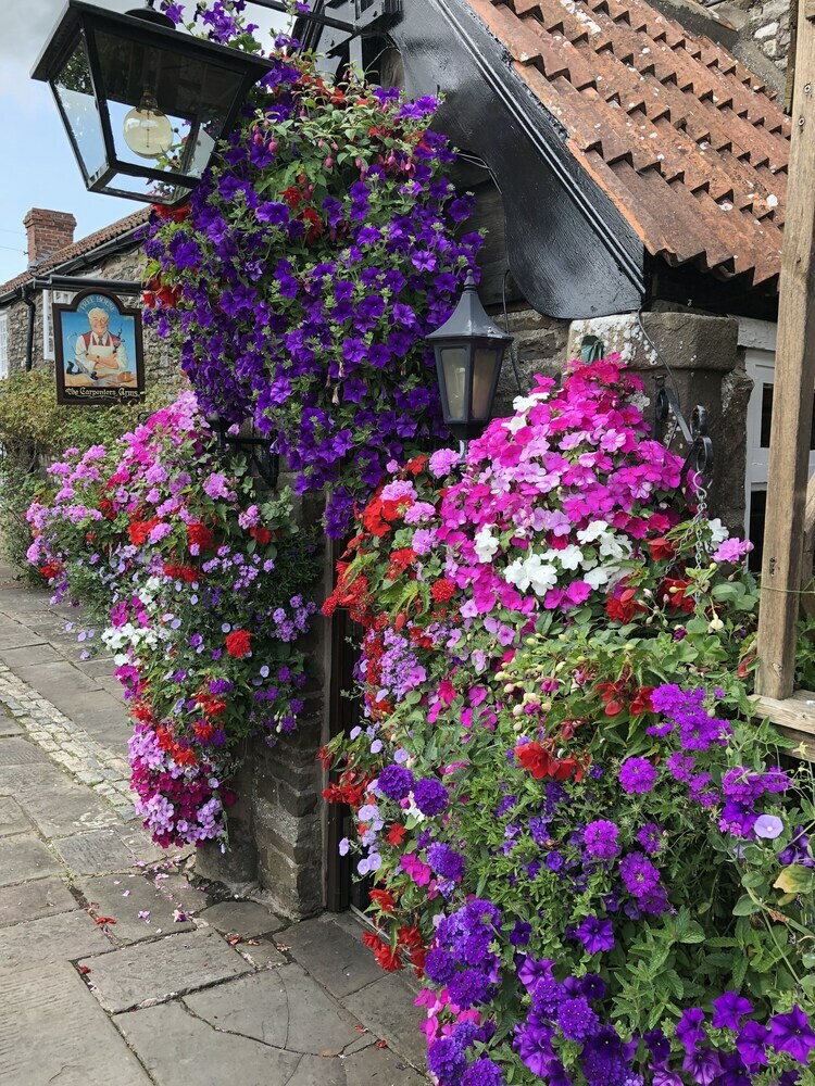 Posada The Carpenters Arms