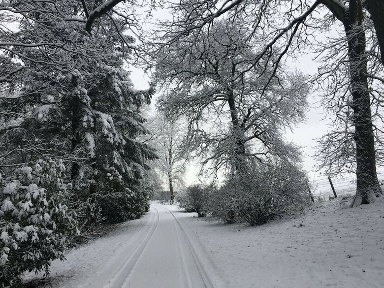 Bed & Breakfast West Plean House