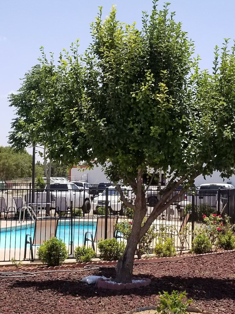 Motel Shiloh Inn