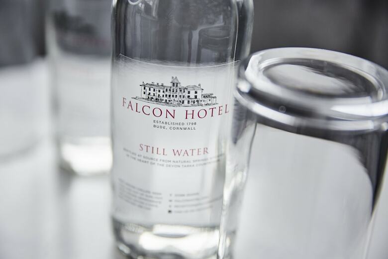 The Falcon Hotel