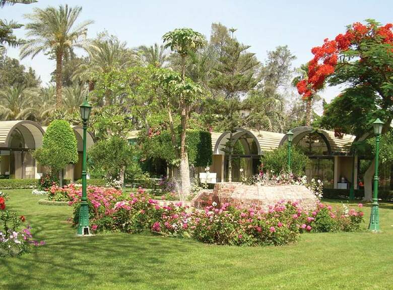 Hotel The Oasis