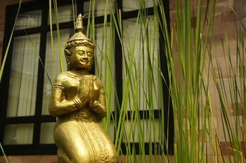 Bed & Breakfast Banyan Leaf Hotel