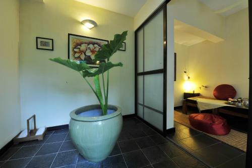 Villa Amatao Tropical Residence
