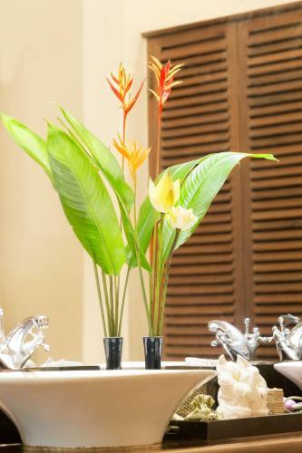 Villa Amatao Tropical Residence