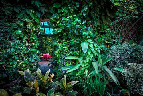 Villa Amatao Tropical Residence