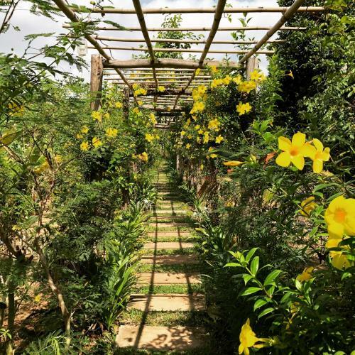 Hotel Angkor Rural Boutique