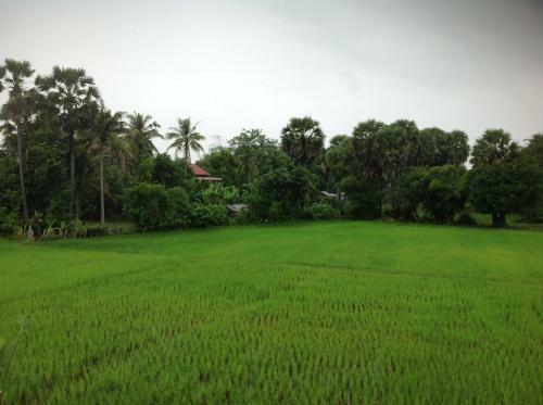 Hotel Angkor Rural Boutique