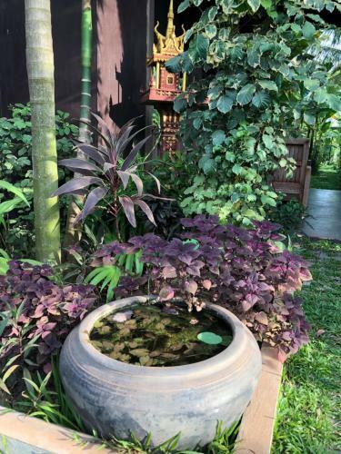 Hotel Angkor Rural Boutique