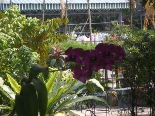 Les Bambous Boutique Hotel