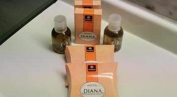 Hotel Diana(.)