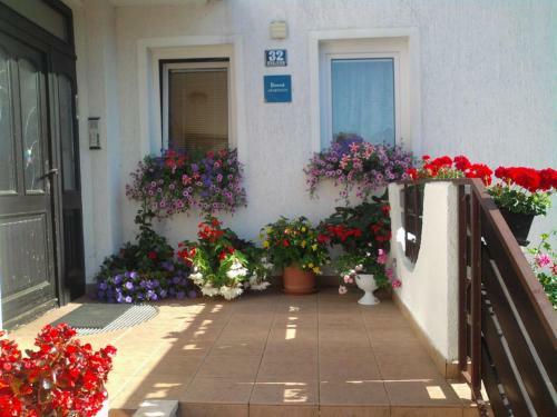 Apartments Vila Marinela