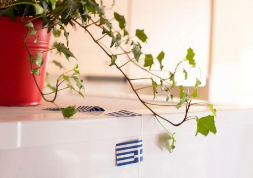 Live In Athens, Psyrri Central Apartments