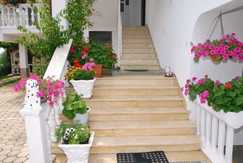 Apartments Matkovic