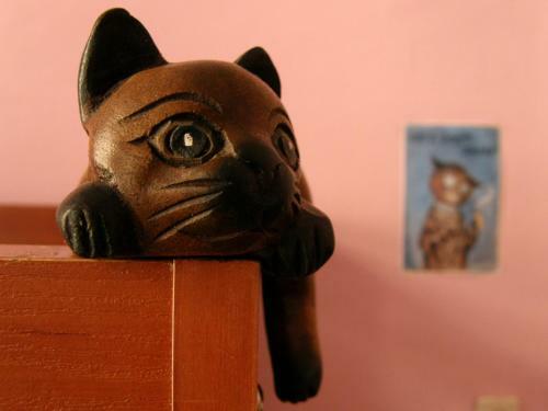Cats' House Hostel