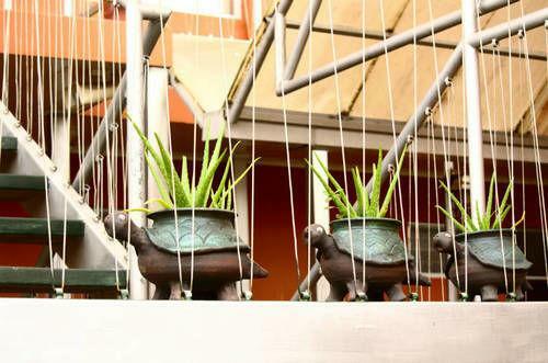 Hotel Las Colinas