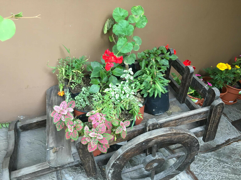 Hotel Casa Bella Miraflores