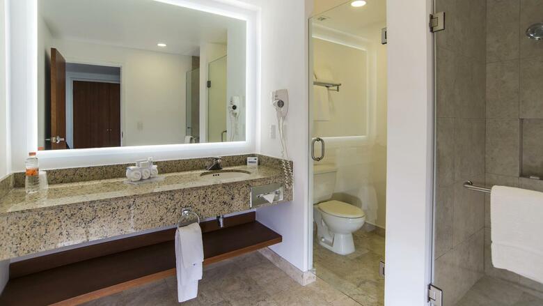 Hotel Holiday Inn Express Puebla