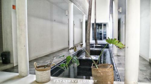 Hostal Flat06 Cipete