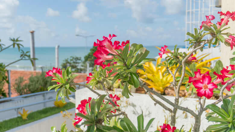 Kristie Resort Natal Hotel