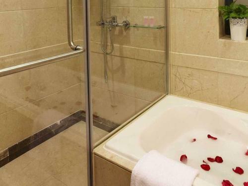 Aparthotel Dan Executive Apartment
