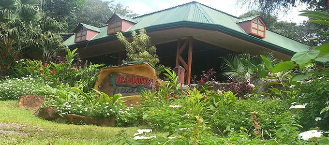 Hotel Ara Ambigua Lodge